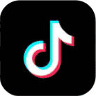 TikTok Icon